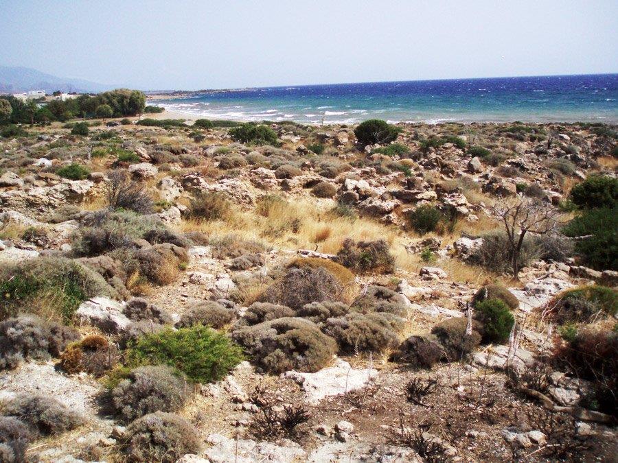 Excellent Plot for land for sale in Paleochora Crete Greece Esales